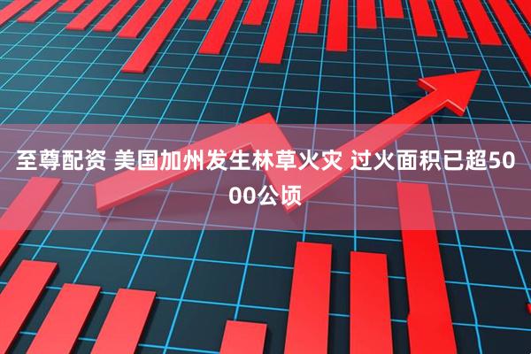 至尊配资 美国加州发生林草火灾 过火面积已超5000公顷