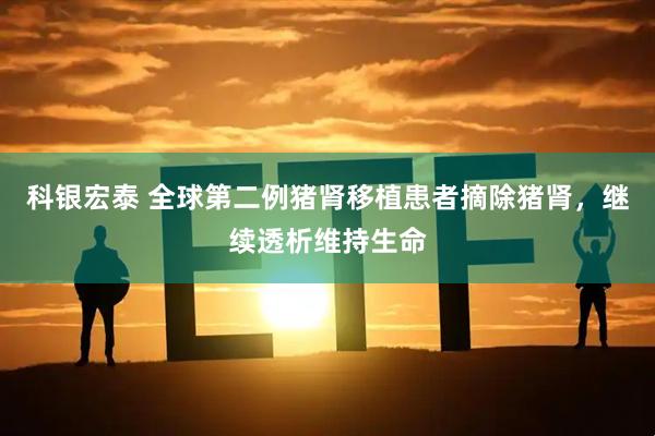 科银宏泰 全球第二例猪肾移植患者摘除猪肾，继续透析维持生命