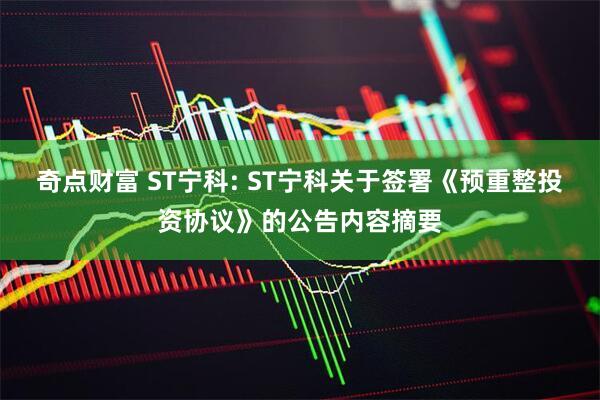 奇点财富 ST宁科: ST宁科关于签署《预重整投资协议》的公告内容摘要