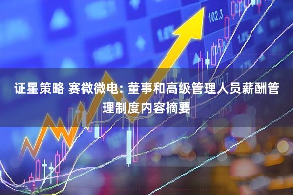 证星策略 赛微微电: 董事和高级管理人员薪酬管理制度内容摘要