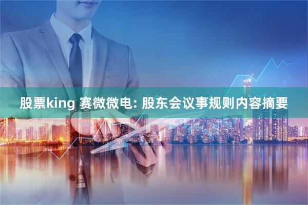 股票king 赛微微电: 股东会议事规则内容摘要