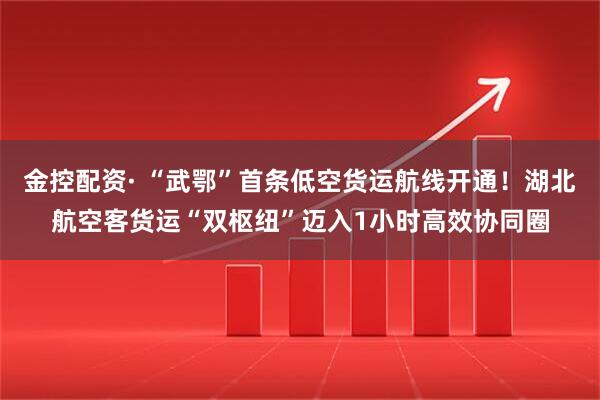 金控配资· “武鄂”首条低空货运航线开通！湖北航空客货运“双枢纽”迈入1小时高效协同圈