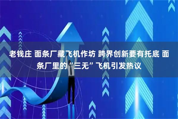 老钱庄 面条厂藏飞机作坊 跨界创新要有托底 面条厂里的“三无”飞机引发热议