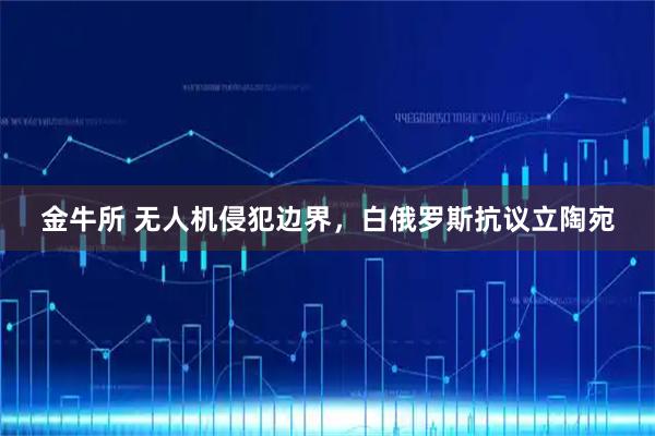 金牛所 无人机侵犯边界，白俄罗斯抗议立陶宛