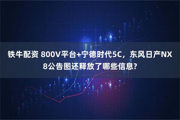 铁牛配资 800V平台+宁德时代5C,东风日产NX8公告图还释放了哪些信息?