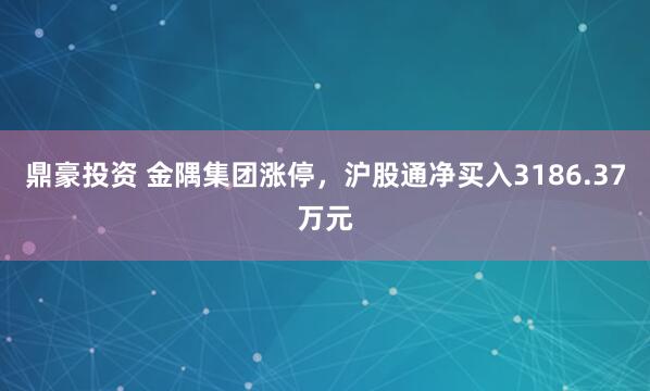 鼎豪投资 金隅集团涨停，沪股通净买入3186.37万元